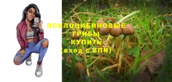 мескалин Осташков