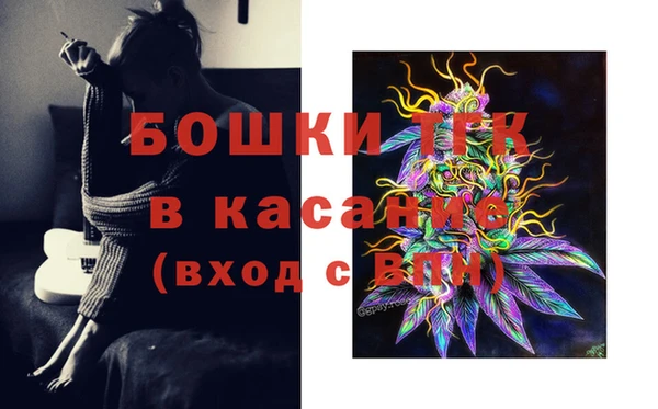 твердый Нягань