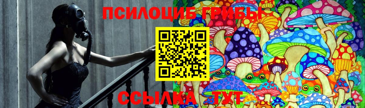 Ливны  Псилоцибиновые грибы GOLDEN TEACHER  Вход с VPN  Галлюциногенные грибы прущие грибы 